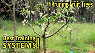 PRUNING FRUIT TREES  BEST SHAPES for SIZE and PRODUCTION [upl. by Nitsoj]