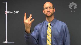 Telling Height  ASL  American Sign Language [upl. by Krusche]