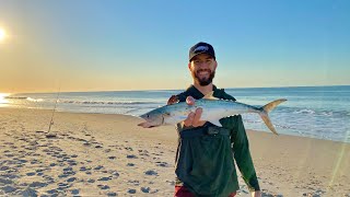 My First Surf Fishing Trip in NC North Topsail Beach Spanish Mackerel Action [upl. by Albion]