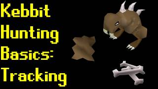 Basic Kebbit Hunting Guide 2019 OSRS [upl. by Eterg]