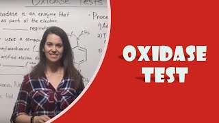 Oxidase Test [upl. by Lemhaj]