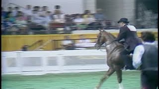 ARCHIVES William Shatner wins Kentucky State Fair horse show [upl. by Norvan]