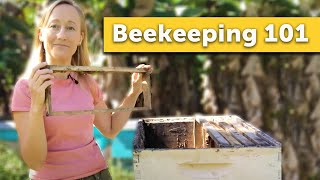 BEEKEEPING 101  How to Keep Bees for the Absolute Beginner Beekeeper [upl. by Odin]