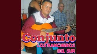 Rosita De Olivo  Conjunto Los Rancheros Del Sur [upl. by Htiffirg]