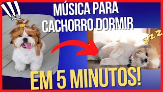 Música Para Acalmar Cachorro 🐶💤 12h de Musica [upl. by Ennoira]