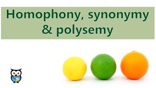 Homophony Synonymy Polysemy [upl. by Ltsyrk]