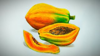 Papaya and slices drawing and pencil coloring tutorial  Freehand drawing  Realistic drawing [upl. by Rehpotsirk798]