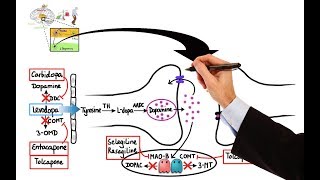 Pharmacology  DRUGS FOR PARKINSONS DISEASE MADE EASY [upl. by Nhguahs]