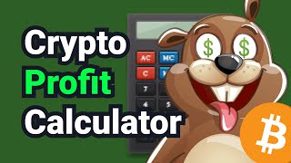 Crypto Profit Calculator [upl. by Pelag575]