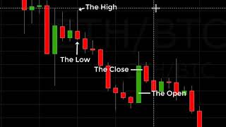 Reading A Crypto Candlestick Chart Basics [upl. by Lavinia]