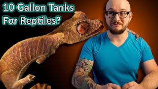 Top 5 Reptiles That Can Live In A Ten Gallon Enclosure FOREVER [upl. by Karoline245]