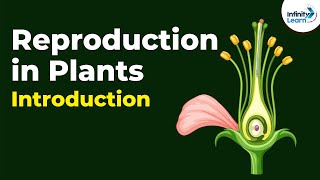 Introduction to Reproduction in Plants  Dont Memorise [upl. by Olivero]