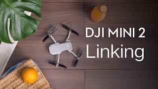 DJI Mini 2  How to Link the Remote Controller [upl. by Spears462]