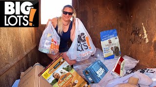 Dumpster Diving ABSOLUTELY INSANE HAUL  We Filled The Truck Up [upl. by Sucy]