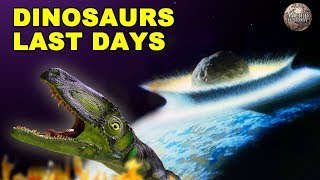 A Breakdown of the Asteroid That Wiped Out the Dinosaurs [upl. by Olatha]