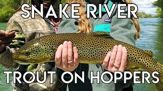 Epic Snake River Hopper Fishing [upl. by Larok951]