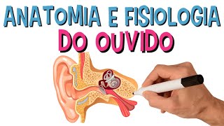 Anatomia e Fisiologia do Sistema Auditivo  Audição  Ouvido [upl. by Etteoj]