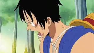 Luffy loses his crew  English Dub [upl. by Heyer]