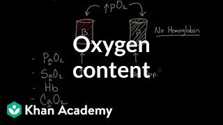 Oxygen content  Human anatomy and physiology  Health amp Medicine  Khan Academy [upl. by Eus]