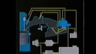 Bosch KJetronic CIS explained [upl. by Yvel]