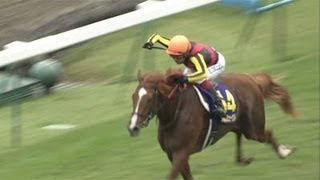 Orfevre Race Compilation 【Fuji TV Official】 [upl. by Eras]