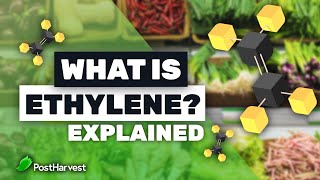 What is Ethylene [upl. by Aicrop182]