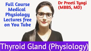 Thyroid Gland  16  Anatomy Iodine Metabolism [upl. by Ashling]