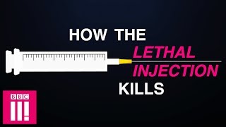 How The Lethal Injection Kills [upl. by Dulcinea]