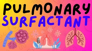 The Respiratory System Pulmonary Surfactant [upl. by Donella]