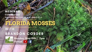 Mosses of Florida [upl. by Duleba491]