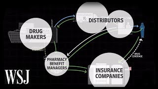 How Drug Prices Work  WSJ [upl. by Nichani684]