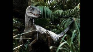 Jurassic Park Velociraptor Sound Effects [upl. by Enyawud]