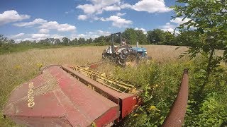 Mowing with New Holland 474 Haybine [upl. by Tacy360]