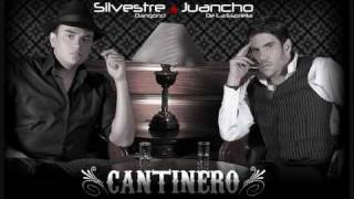 Has Cambiado Mi Vida  Silvestre Dangond Y Juancho De La Espriella [upl. by Ybab]