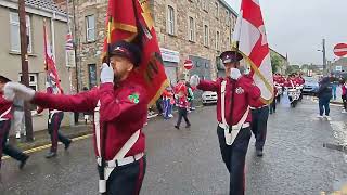 Newtownards Band Parade [upl. by Far]