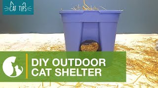 Cat Tips DIY Cat Shelter [upl. by Stanford704]