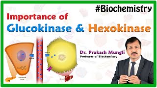 Hexokinase Vs Glucokinase  Medical Biochemistry By Dr Prakash Mungli [upl. by Annoerb]