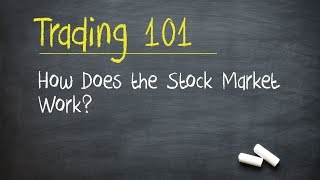 Trading 101 How Does the Stock Market Work [upl. by Nyleda660]