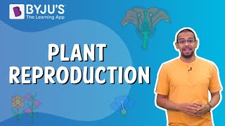 Plant Reproduction  Class 5 I Learn with BYJUS [upl. by Oninotna]