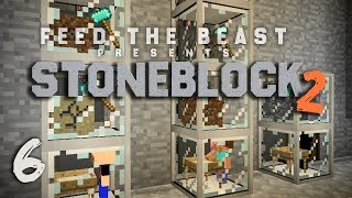 StoneBlock 2 Modpack Ep 6 Automatic Sieve Setup  Item Sorting [upl. by Natsyrk]