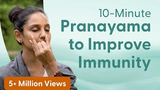 10 Minute Pranayama to Increase Immunity  इम्यूनिटी बढ़ाने के लिए प्राणायाम satvicyoga [upl. by Serles650]