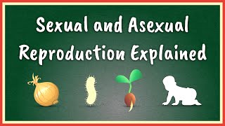 Sexual and Asexual Reproduction Explained [upl. by Dalohcin137]