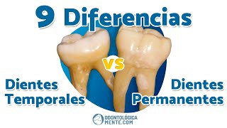 ► 9 Diferencias entre dientes 🦷 temporales y permanentes [upl. by Polito]