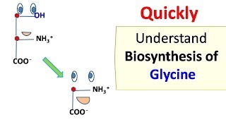 Glycine biosynthesis [upl. by Aneehsit]