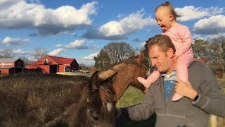 Rory Feek Returns Home to Tennessee Prepares to Bury Joey [upl. by Wyler]