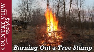 Burning Out a Huge Tree Stump [upl. by Ahtaela]