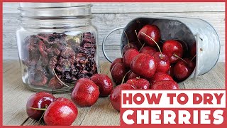 How to Dehydrate Cherries  Best Cherry Pitter for Drying Cherries [upl. by Ollayos]