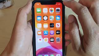 iPhone 11 Pro How to Adjust Screen Brightness  IOS 13 [upl. by Onitnas]