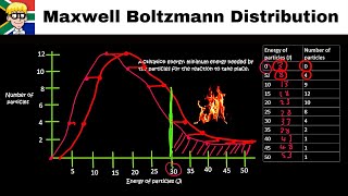 Maxwell Boltzmann Distribution Curve grade 12 [upl. by Wey618]