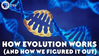 How Evolution Works And How We Figured It Out [upl. by Wanfried407]